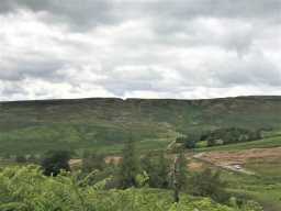 Image of Lodge Sike Levels Lead Mine, taken from across the valley to the W. 11-Jul-2020